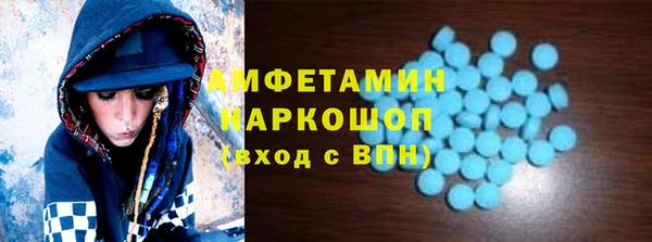 прущие грибы Абаза