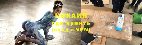 прущие грибы Абаза