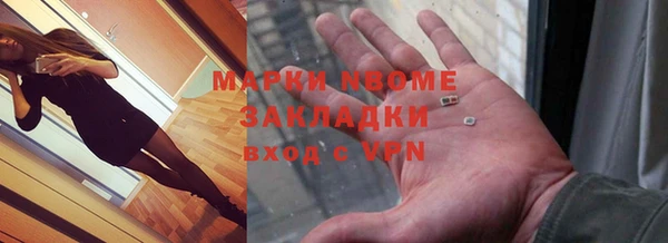 прущие грибы Абаза