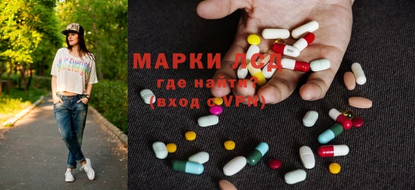 прущие грибы Абаза