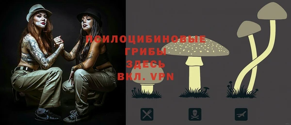спиды Покров