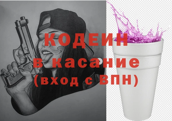 прущие грибы Абаза