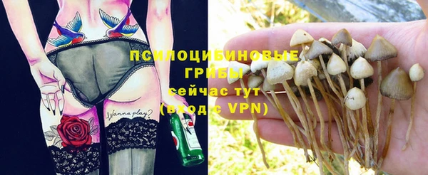 не бодяженный Абдулино