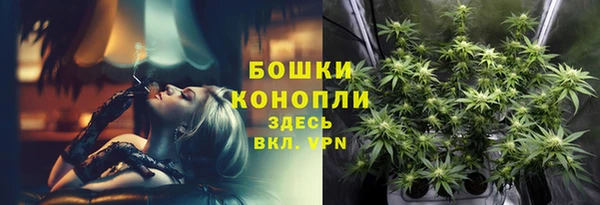 прущие грибы Абаза