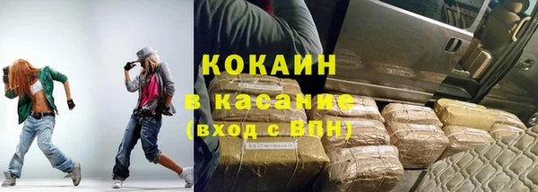 прущие грибы Абаза
