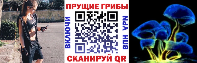 Псилоцибиновые грибы Psilocybe  Остров 